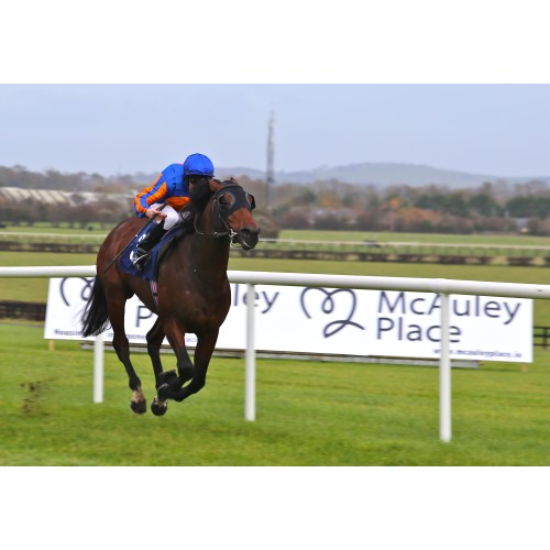 McAuley Place Race Day Fundraiser